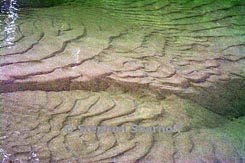 river bottom thumbnail graphic